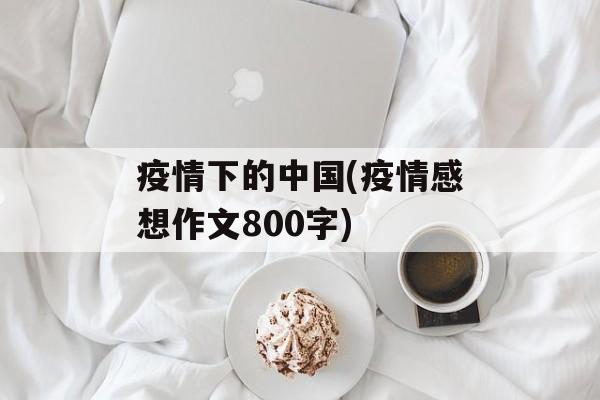 疫情下的中国(疫情感想作文800字)