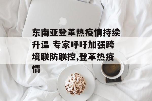 东南亚登革热疫情持续升温 专家呼吁加强跨境联防联控,登革热疫情