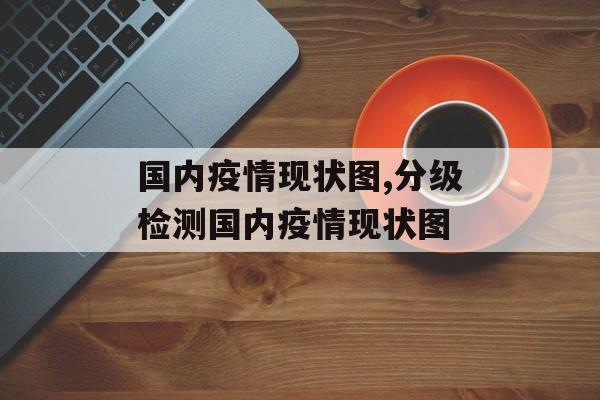 国内疫情现状图,分级检测国内疫情现状图