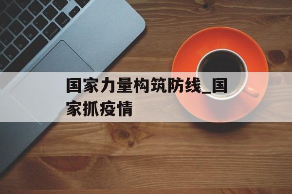 国家力量构筑防线_国家抓疫情