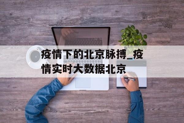 疫情下的北京脉搏_疫情实时大数据北京
