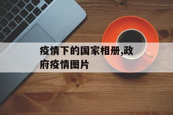 疫情下的国家相册,政府疫情图片
