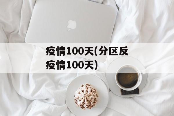 疫情100天(分区反疫情100天)