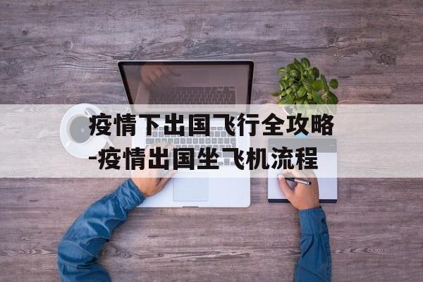 疫情下出国飞行全攻略-疫情出国坐飞机流程