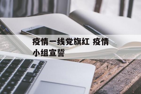 疫情一线党旗红 疫情小组宣誓